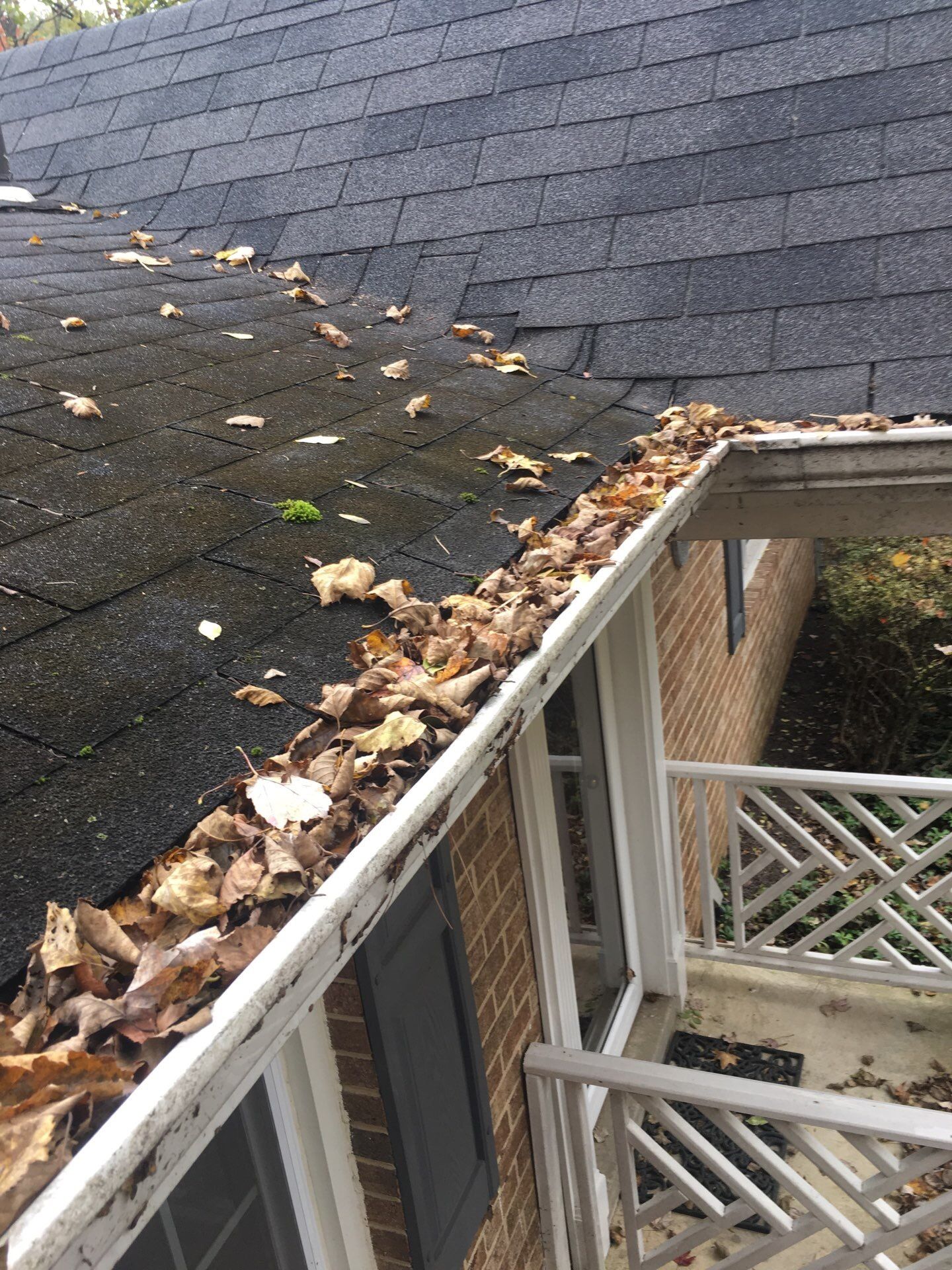 Roof and Skylight Replacement by American Home Contractors