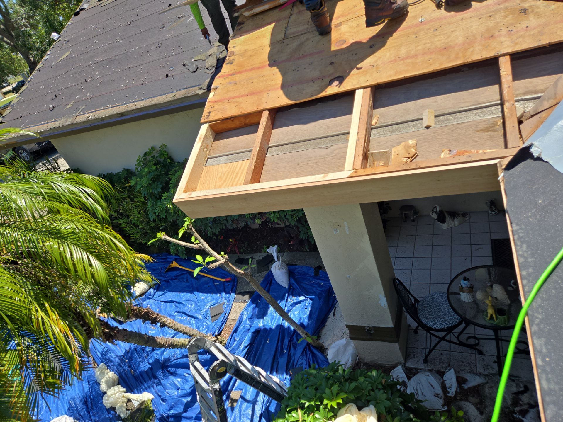 Project in St. Petersburg 33705 by Mitchell Roofing Company LLC 