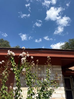 Project in Texas