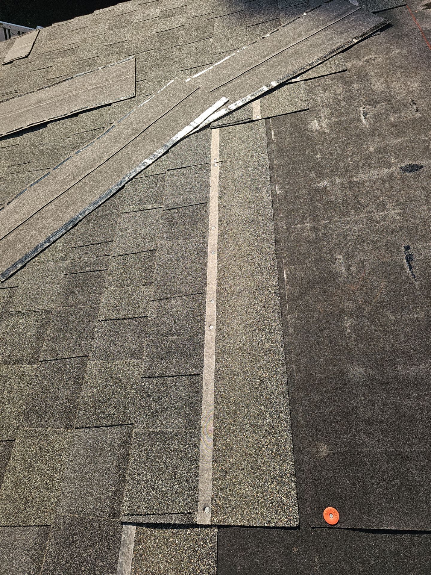 Project in Tampa 33625 by Mitchell Roofing Company LLC