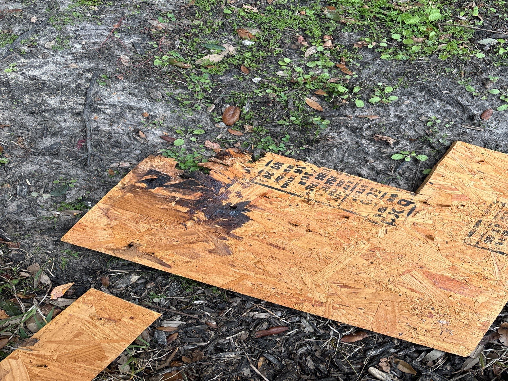 Roof Repair Cypress by Roof Repair Services LLC