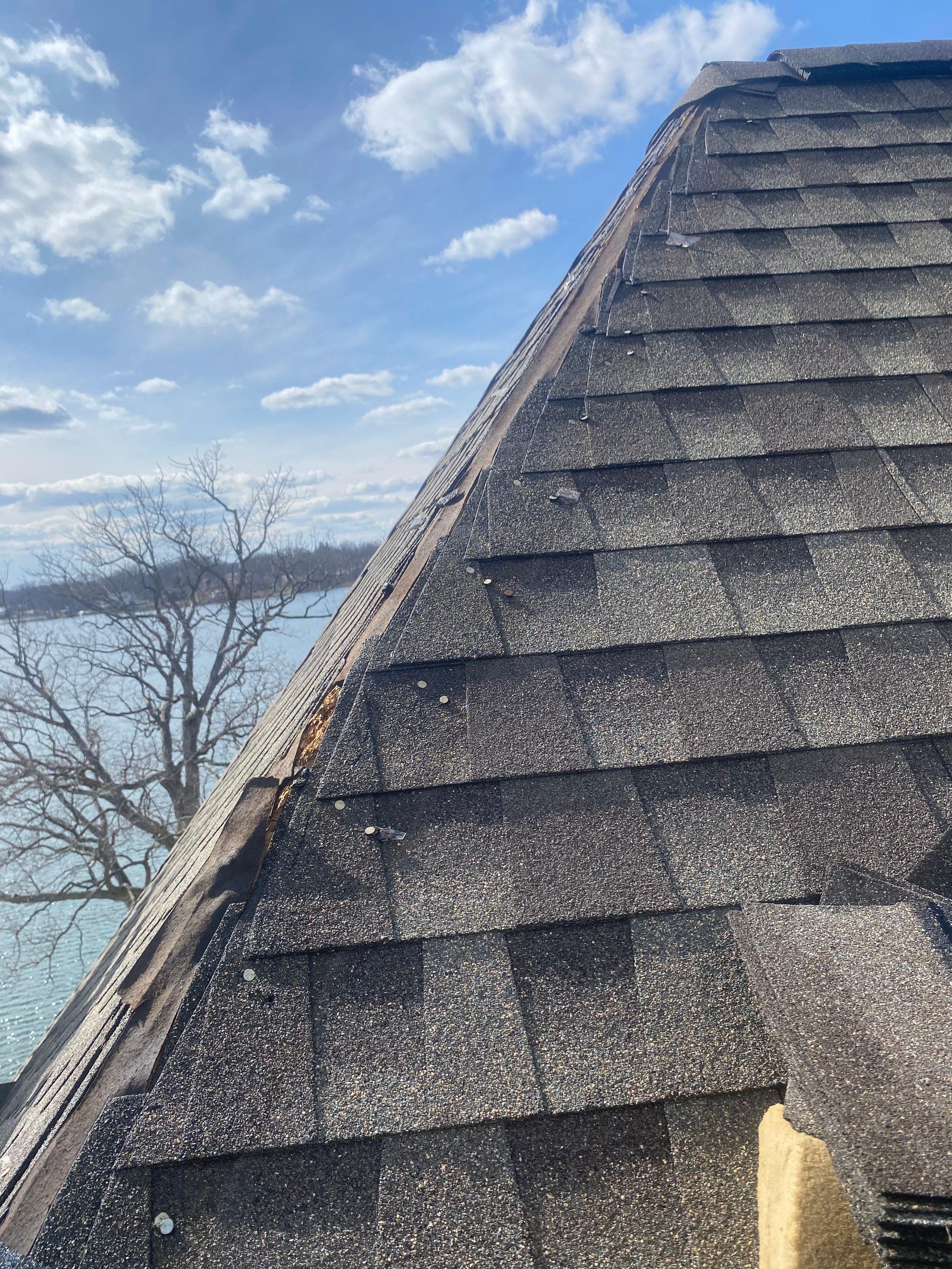 Tim & Debbie Petroff by Silver Leaf Contracting 