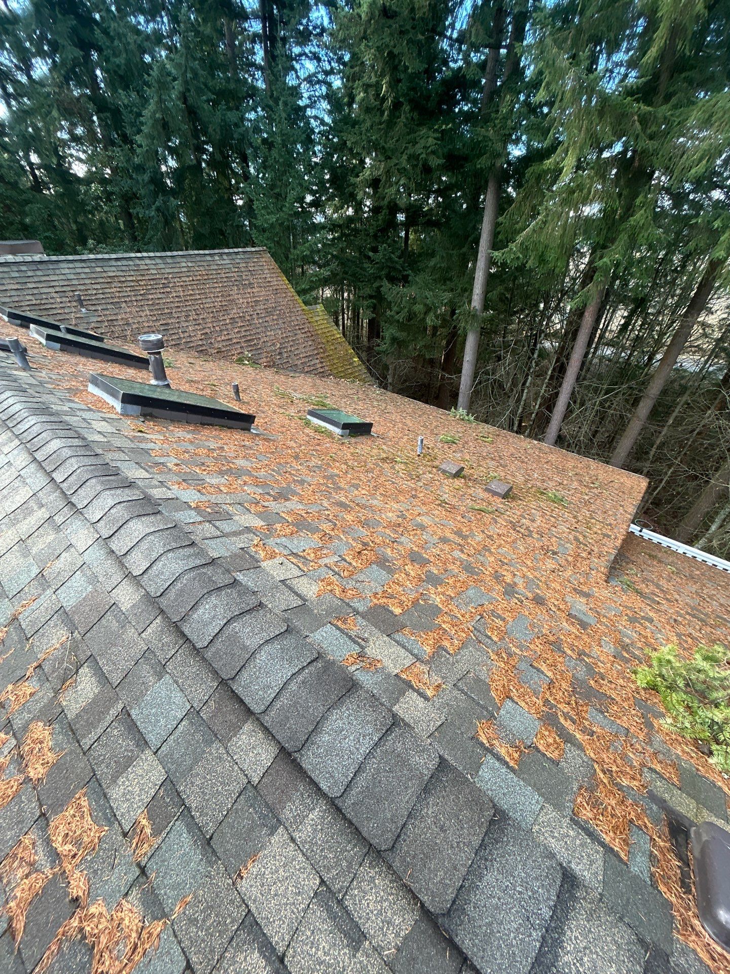 Project in Bothell by Connolly Construction Company