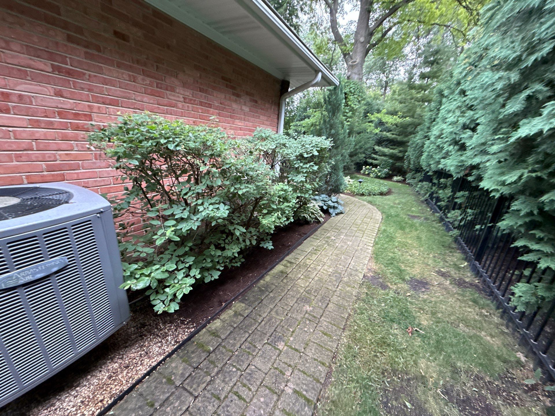 Christopher B. - Glenview, IL by A&N