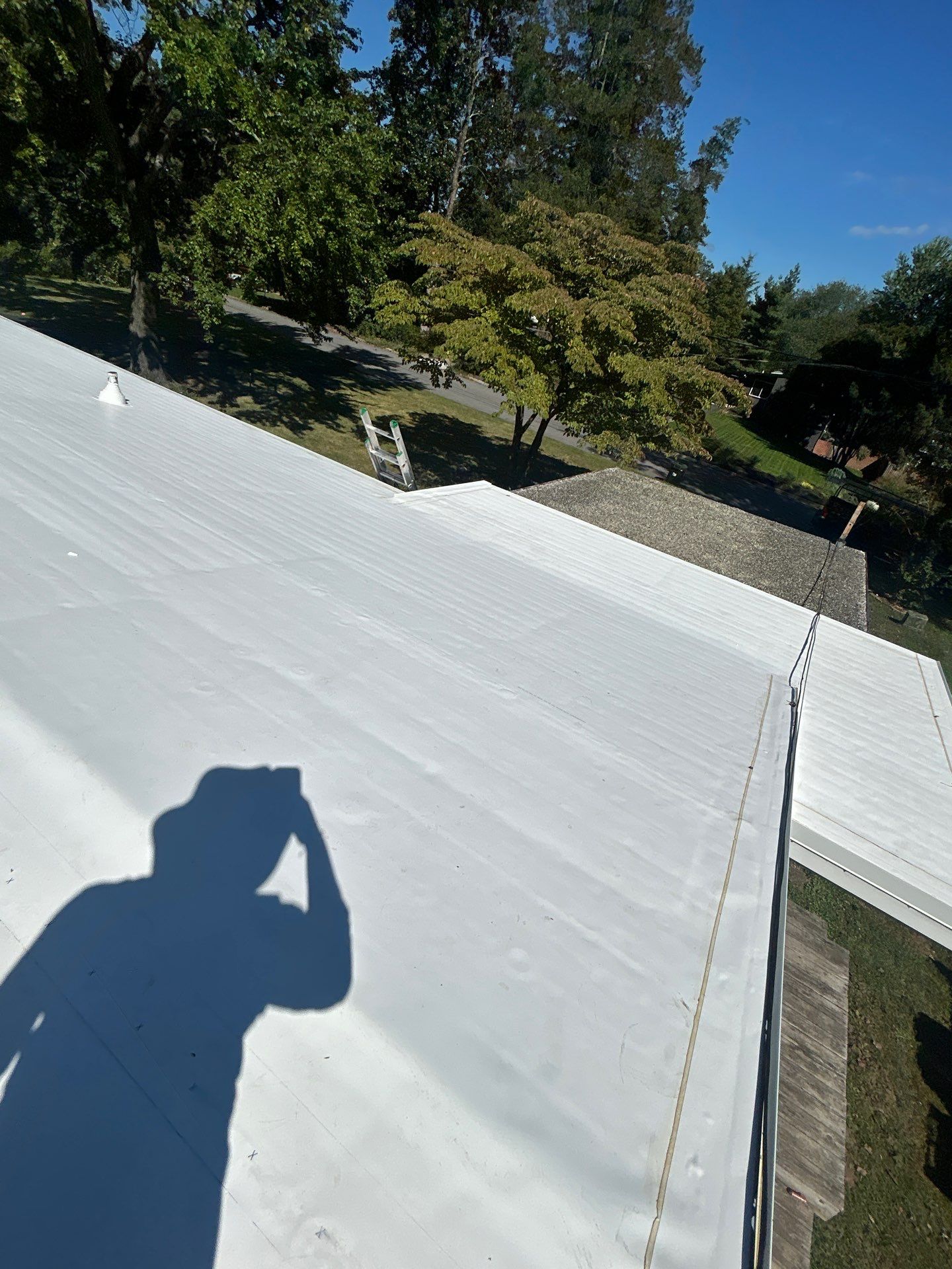 Falls Church :  TPO by RM Banning, Inc.