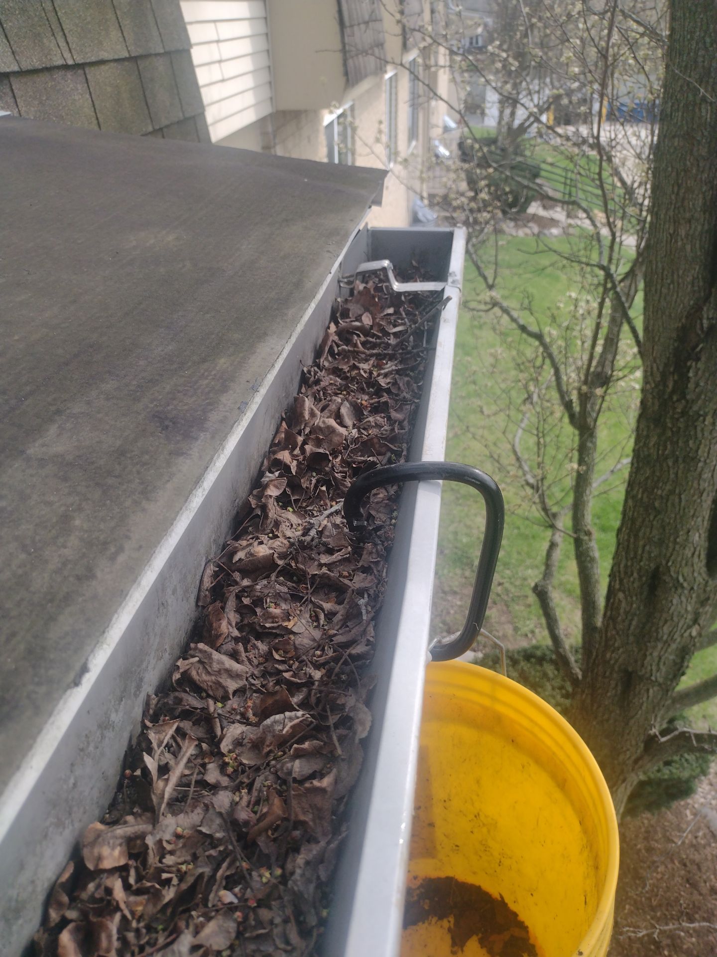 Commercial gutter cleaning Ann Arbor, MI before photo with filled gutters
