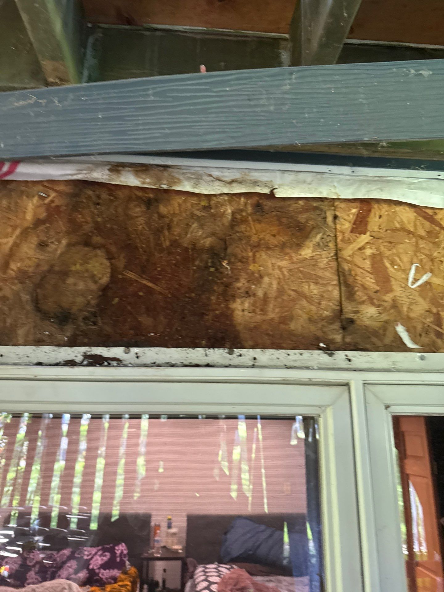 Window Replacement by Zablocki Roofing & Exteriors