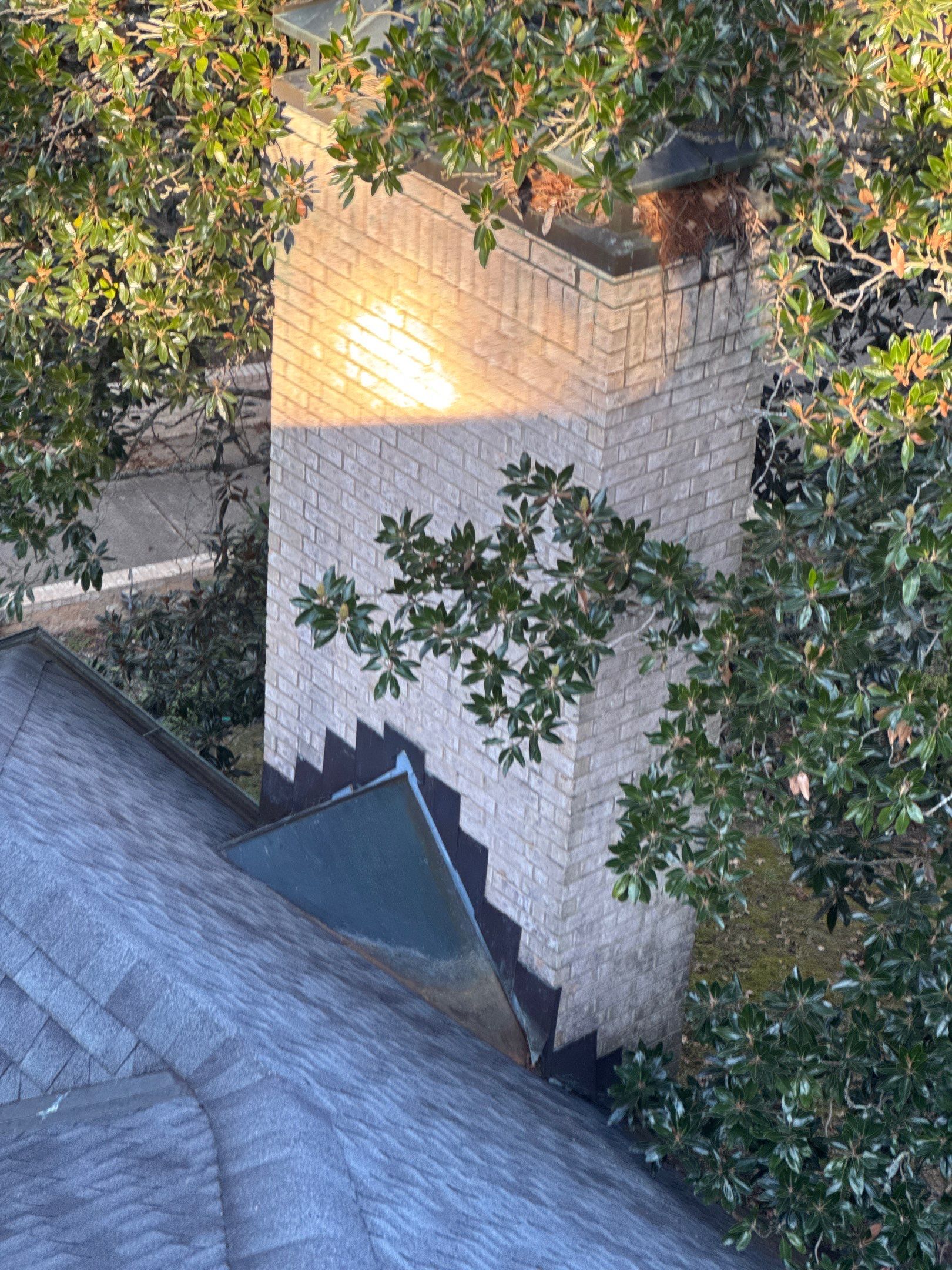 Chyleen Feagin by Tru-Built Roofing