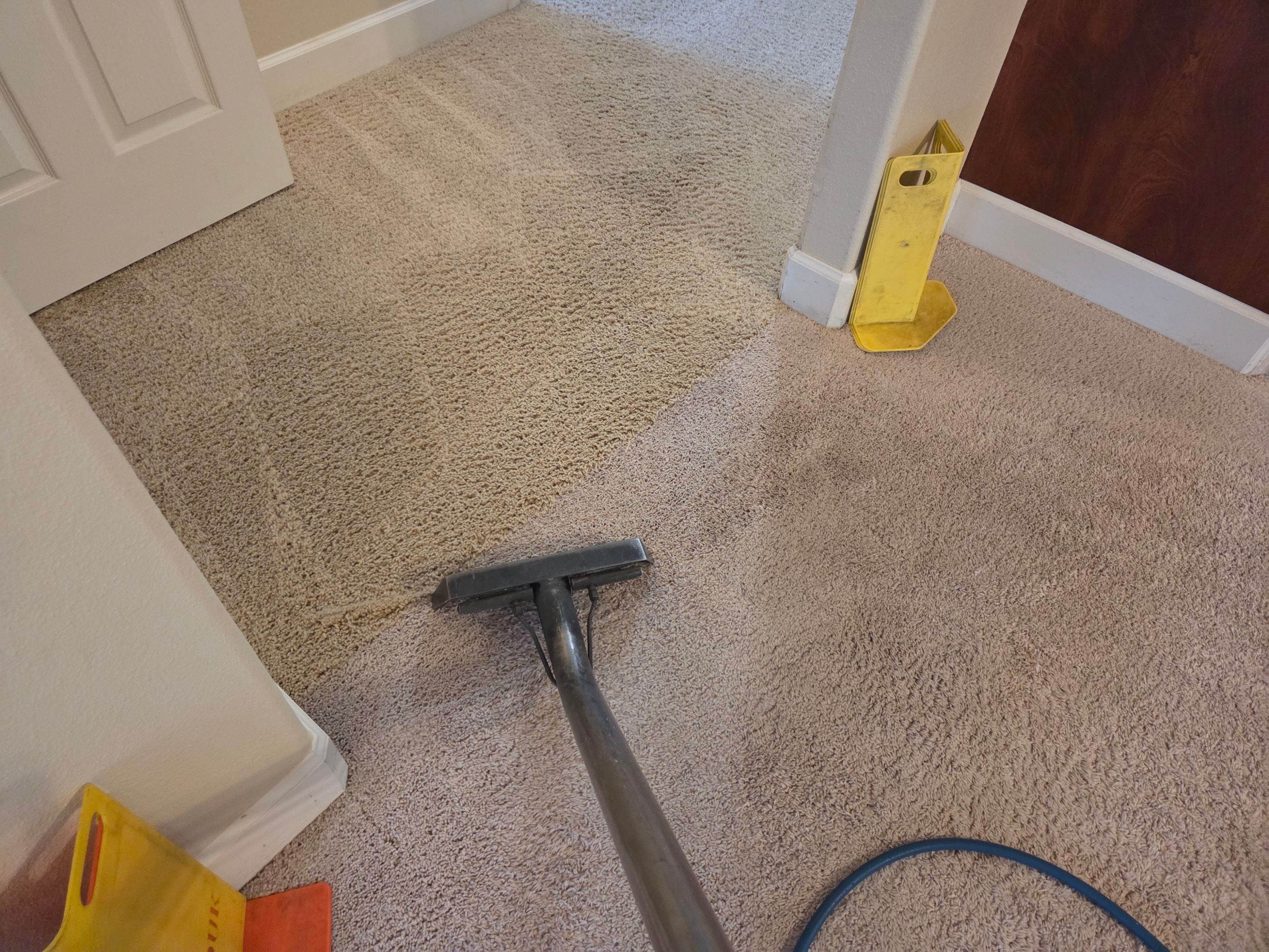 Carpet Cleaning and Stain Removal in Shingle Springs by Ardent Carpet Restore LLC