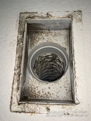 Air Duct and Bathroom Exhaust Fans Cleaning Boot Repair in Windermere