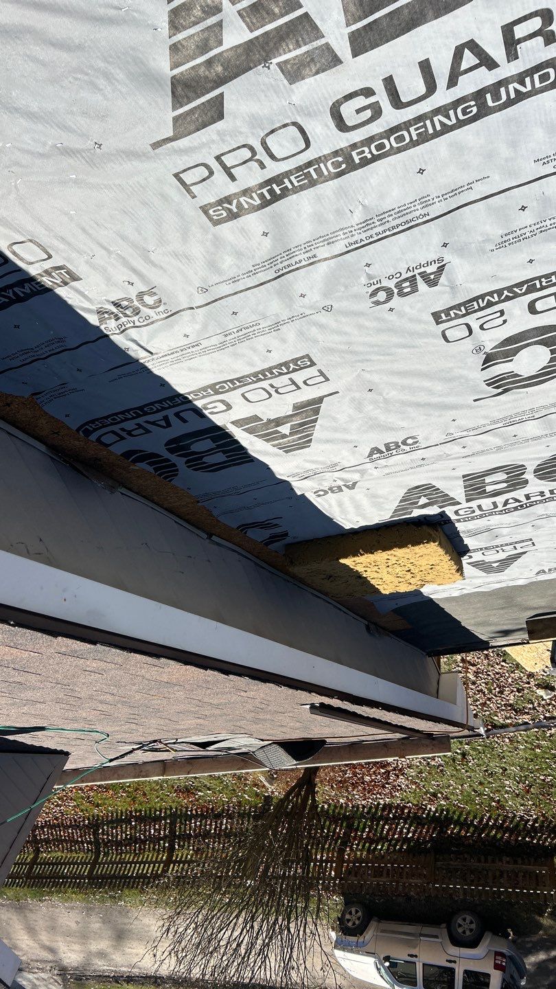 Tree Damage in Lake Orion, MI by Storm Guard - Metro Detroit North