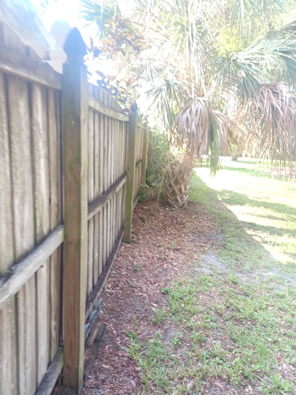 Sarasota, FL 6ft. Tall Treated Board on Board Wood Fence by Asap fence and gates, LLC