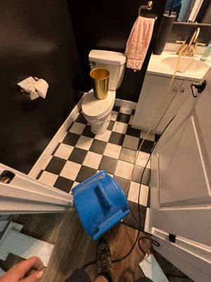 Project by BlueRed Restoration