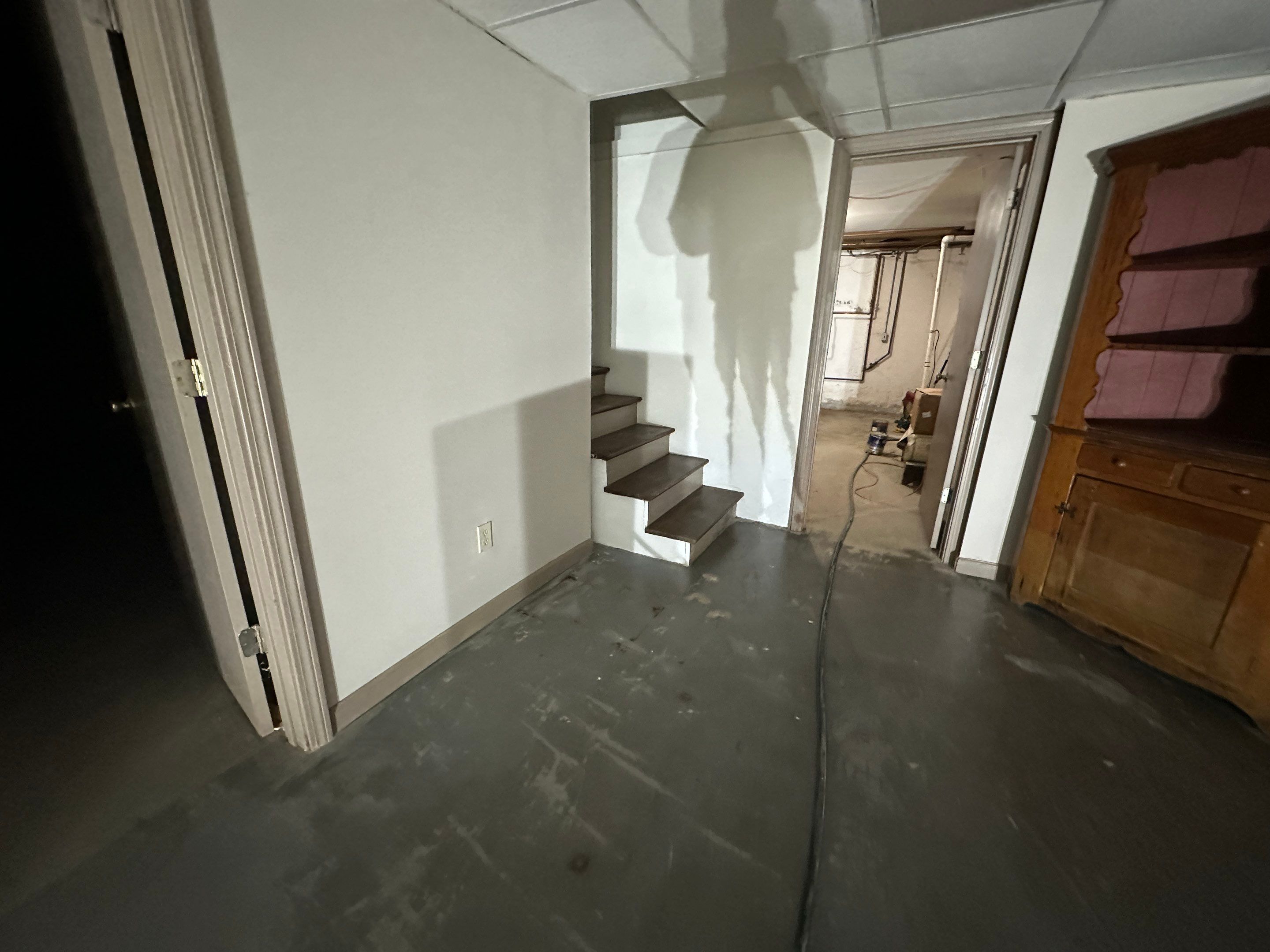 Basement Mold Remediation by Home Guarantee, LLC