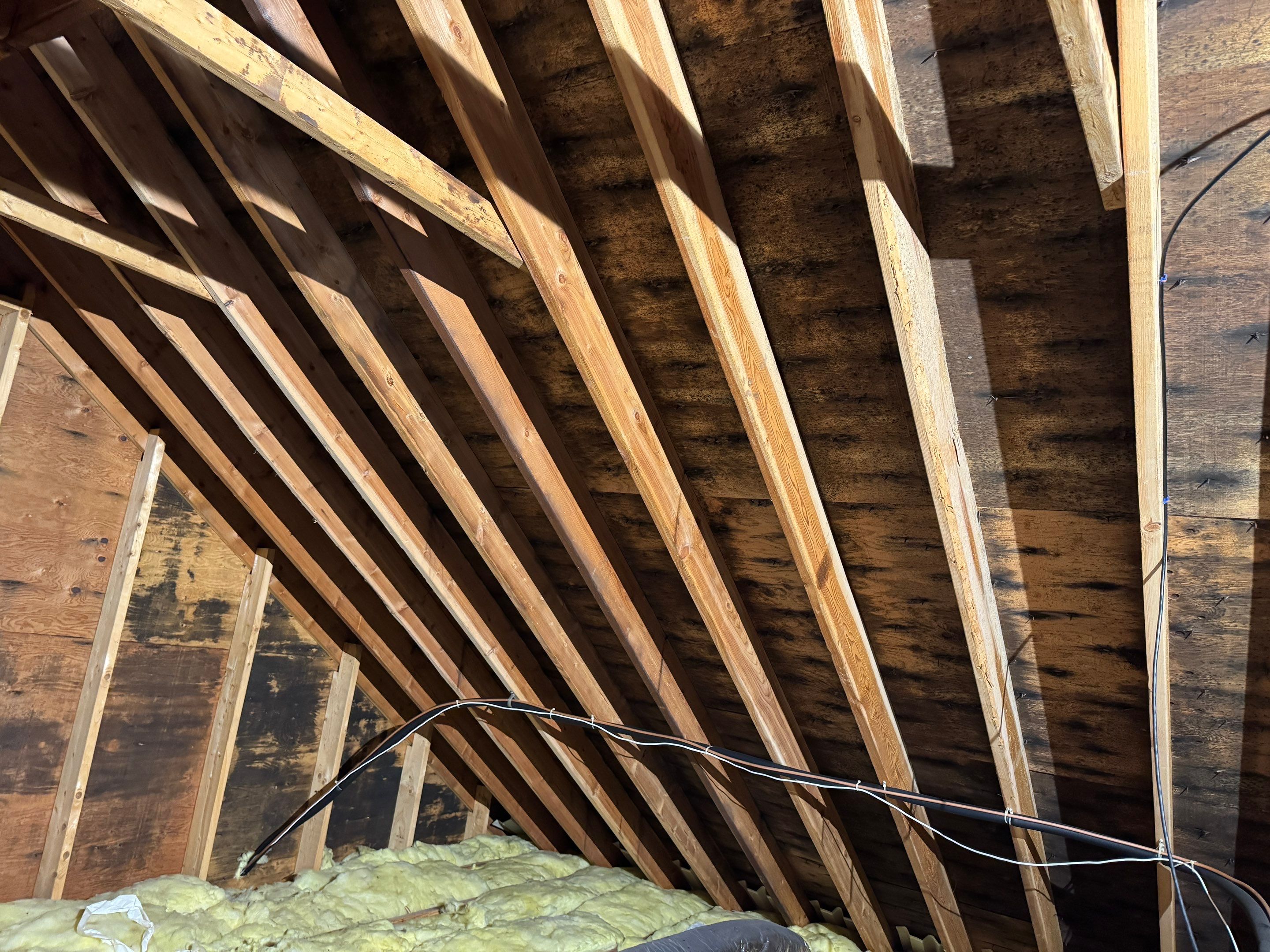 Attic Mold Remediation using Home Guarantee by Home Guarantee, LLC