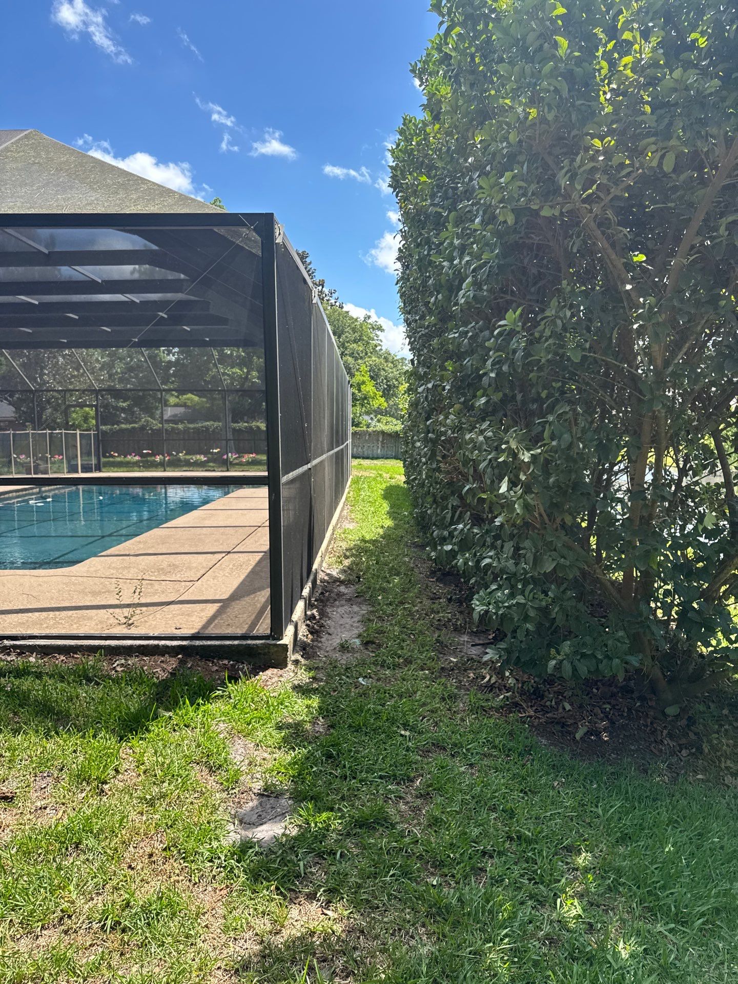 Deerwood Resident | Tree Trimming by ProGreen Services