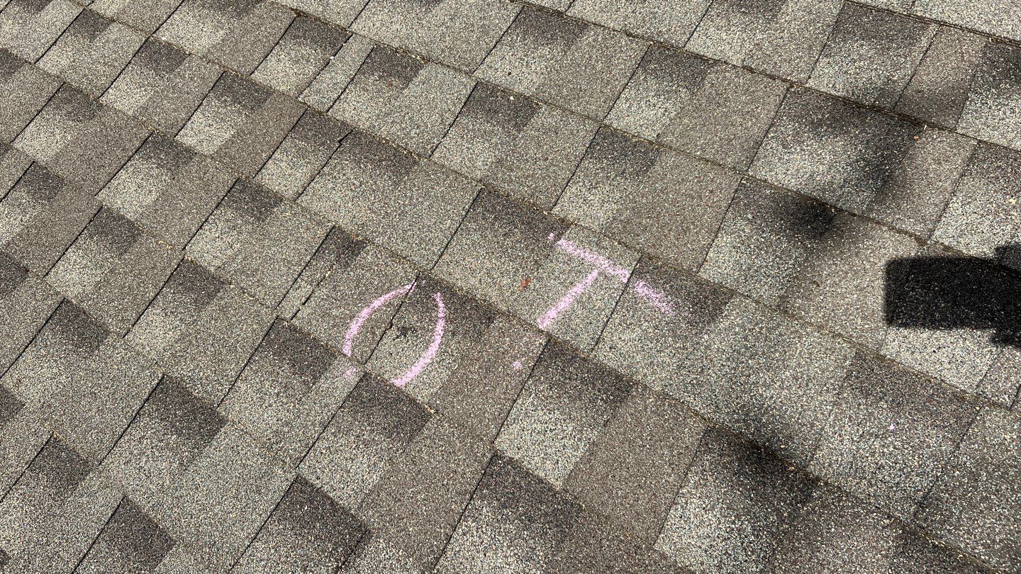 Winter storm 2023 with tree damage by Oakwood Roofing and Construction, LLC