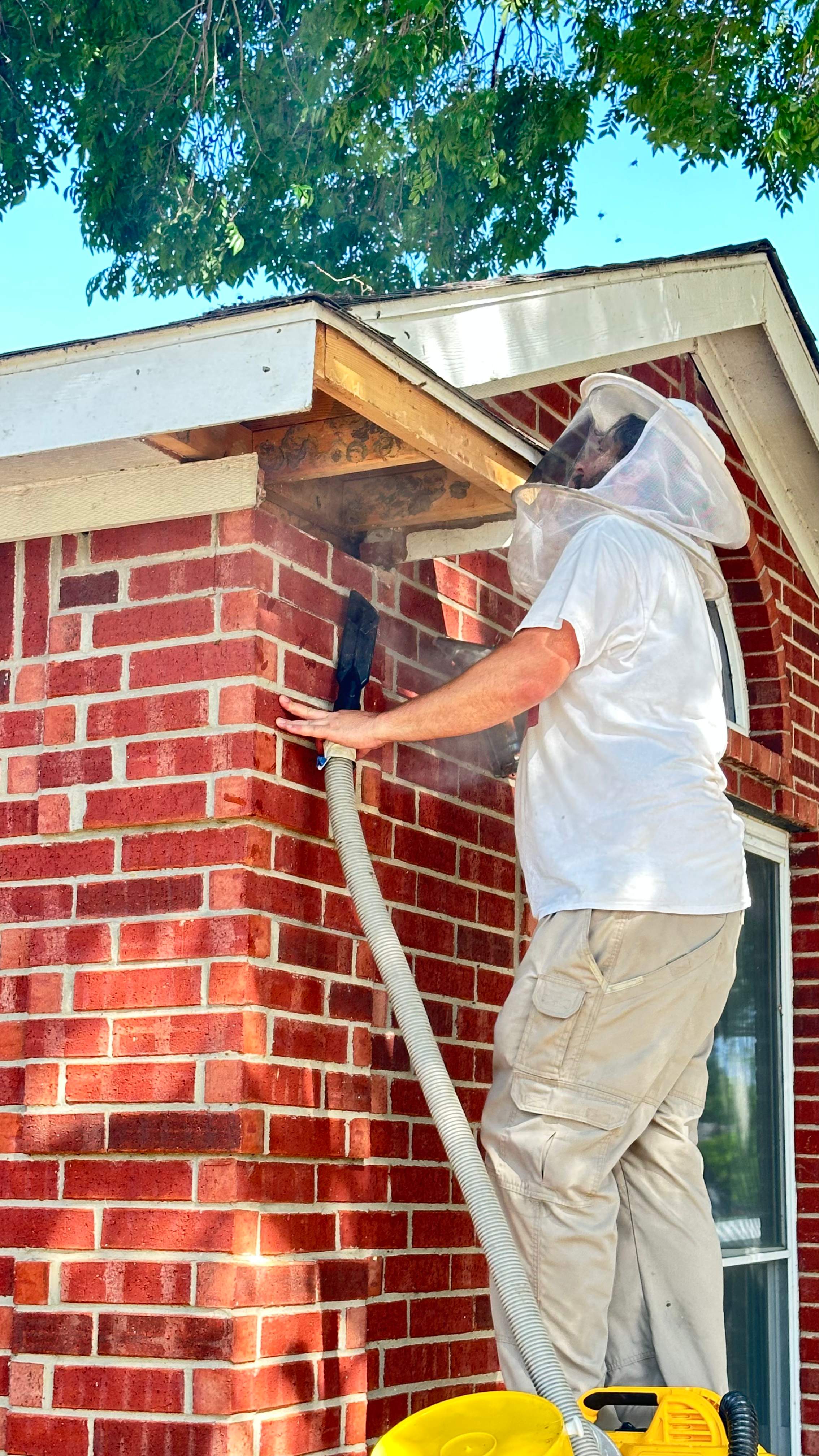 Soffits! by Rockwall Honey Bee Company