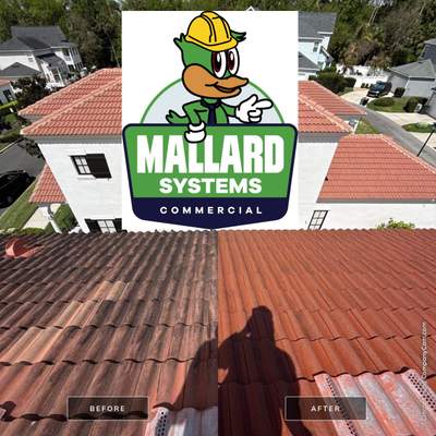 Tile Roof Cleaning