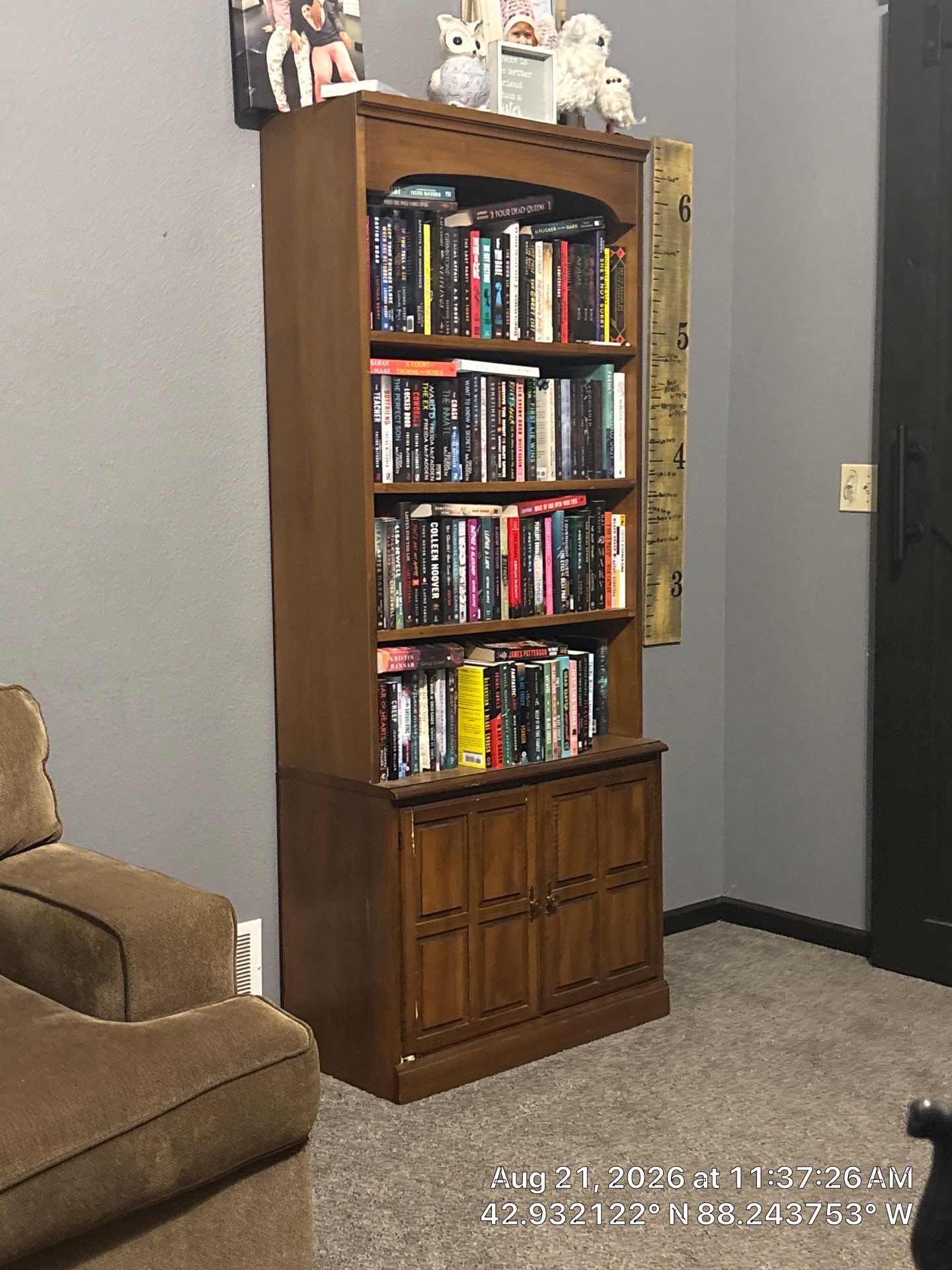Dark Sliding Barn Door and Caged Light Ceiling Fan Installation in Waukesha by CompanyCam Sales Demo