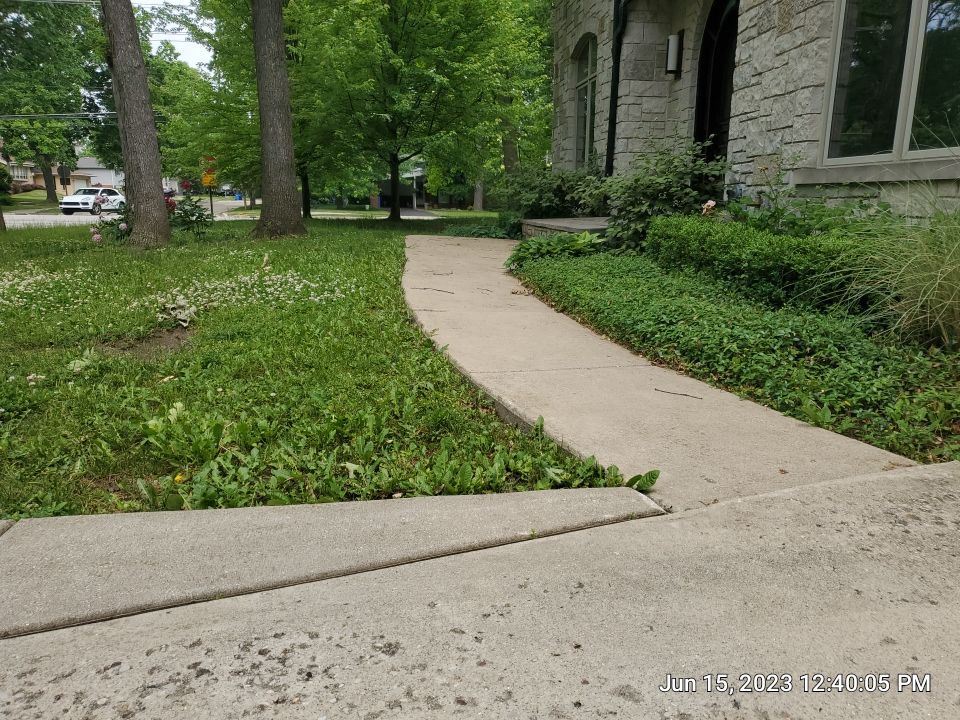 Highland Park, IL Bluestone, concrete,  Trex deck cleaning by Northern Power Washing LLC.