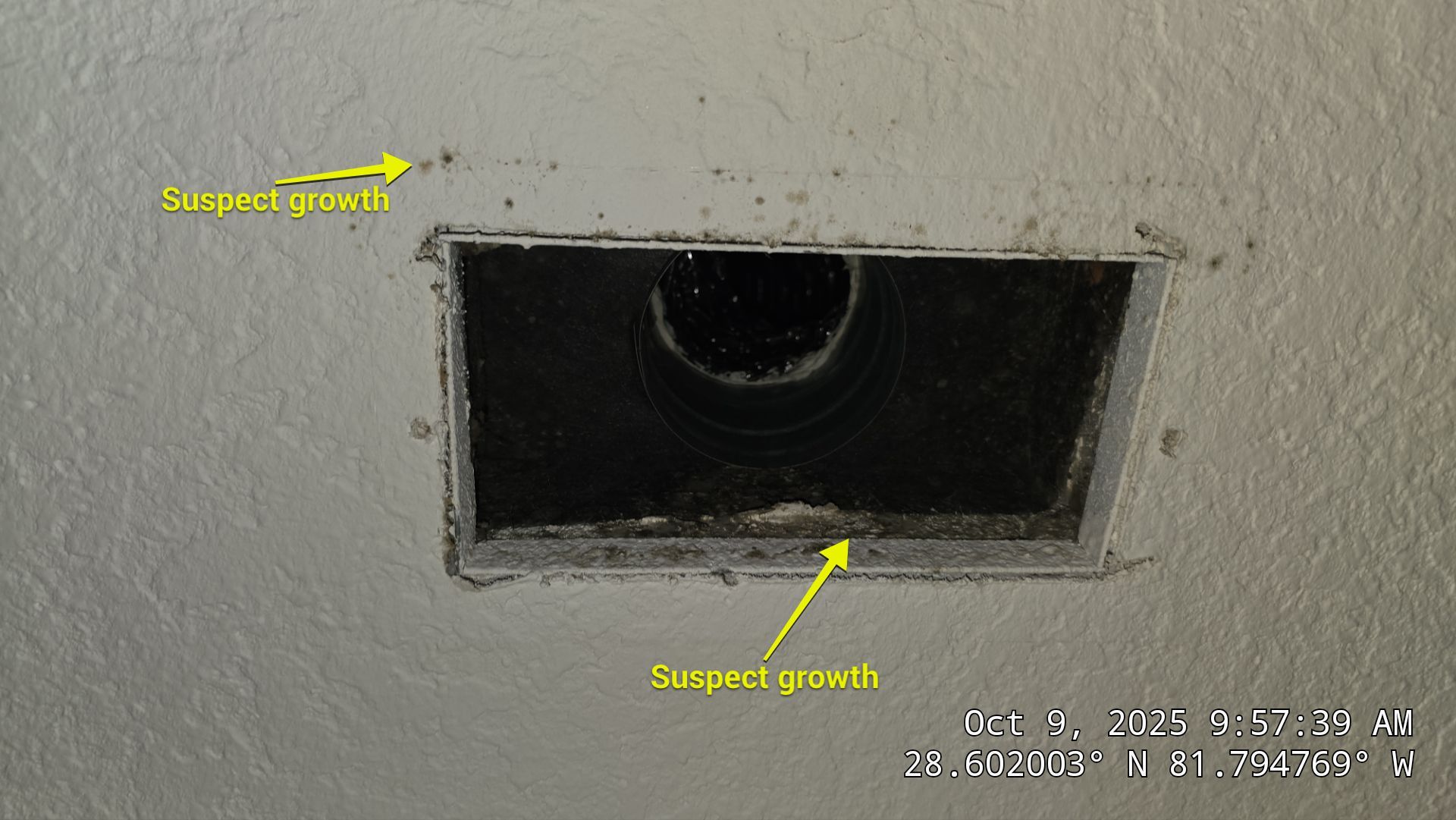 Air Duct and Dryer Vent Cleaning in Groveland by Hygienic Air, Inc