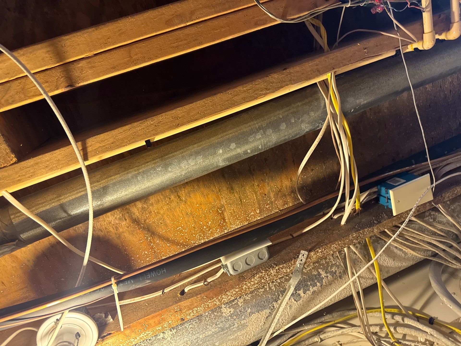 Project in Novi by EzDry Water Mitigation & Property Restoration