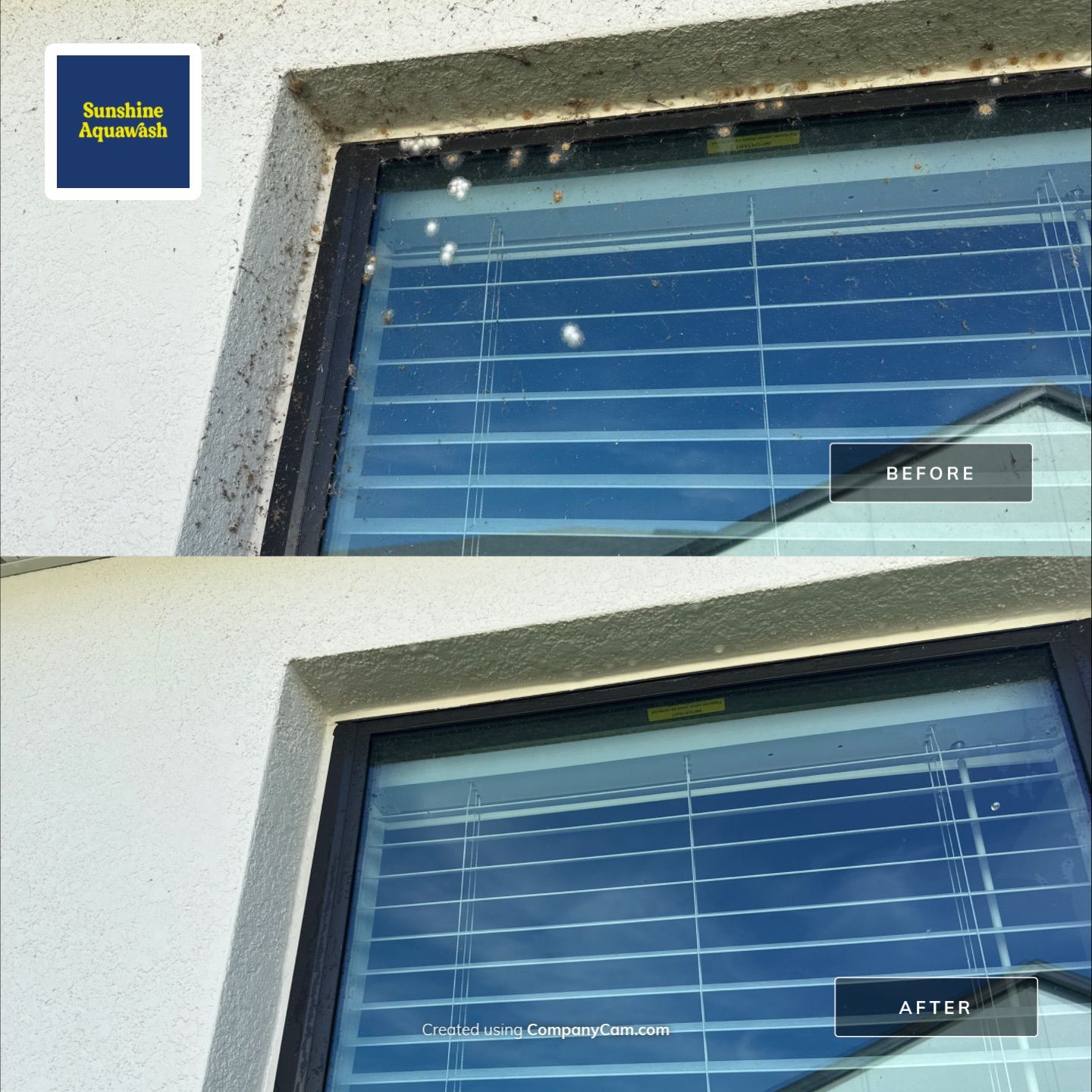 Spider Web Removal, House Wash & Lanai Cleaning in Apollo Beach, FL by Sunshine AquaWash