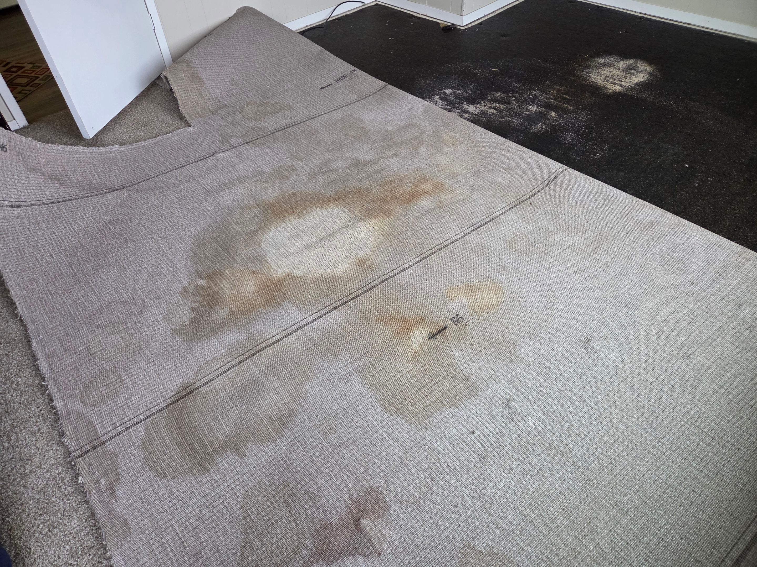 Pet Urine Pad Removal, Extraction and Cleaning by Ardent Carpet Restore LLC