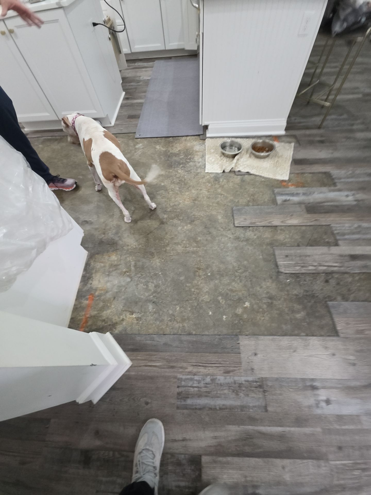 Flooring Repairs & Installation In Ponte Vedra by Axtra Hand