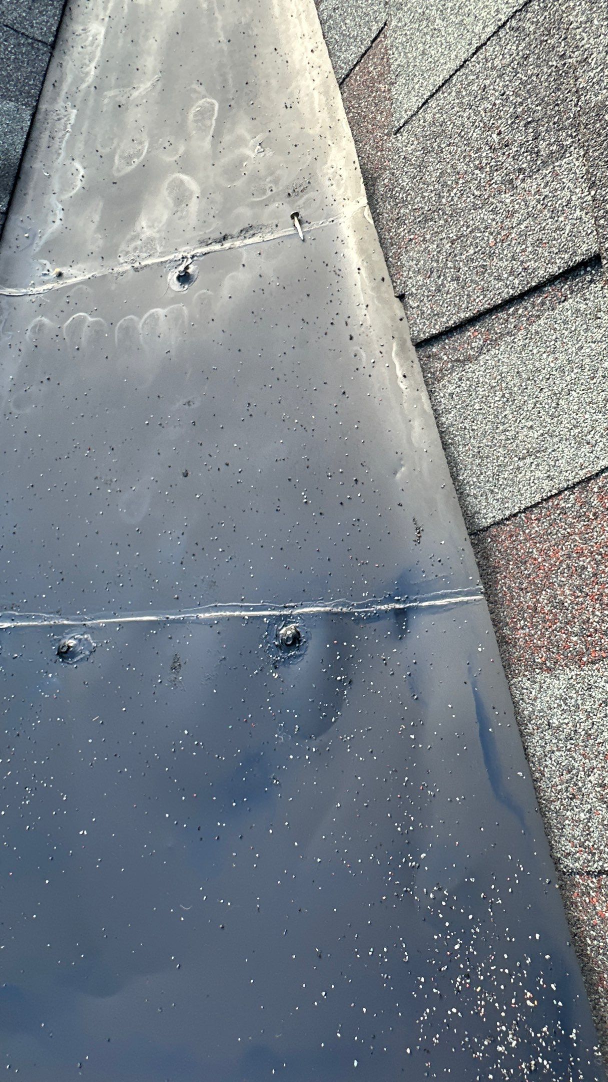 Hamilton - Summer Storm by Tamlin Roofing