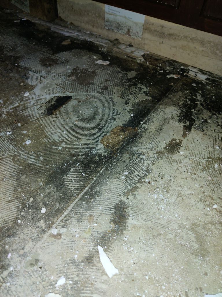 Mold Remediation in Kitchen by Accountable Home Services