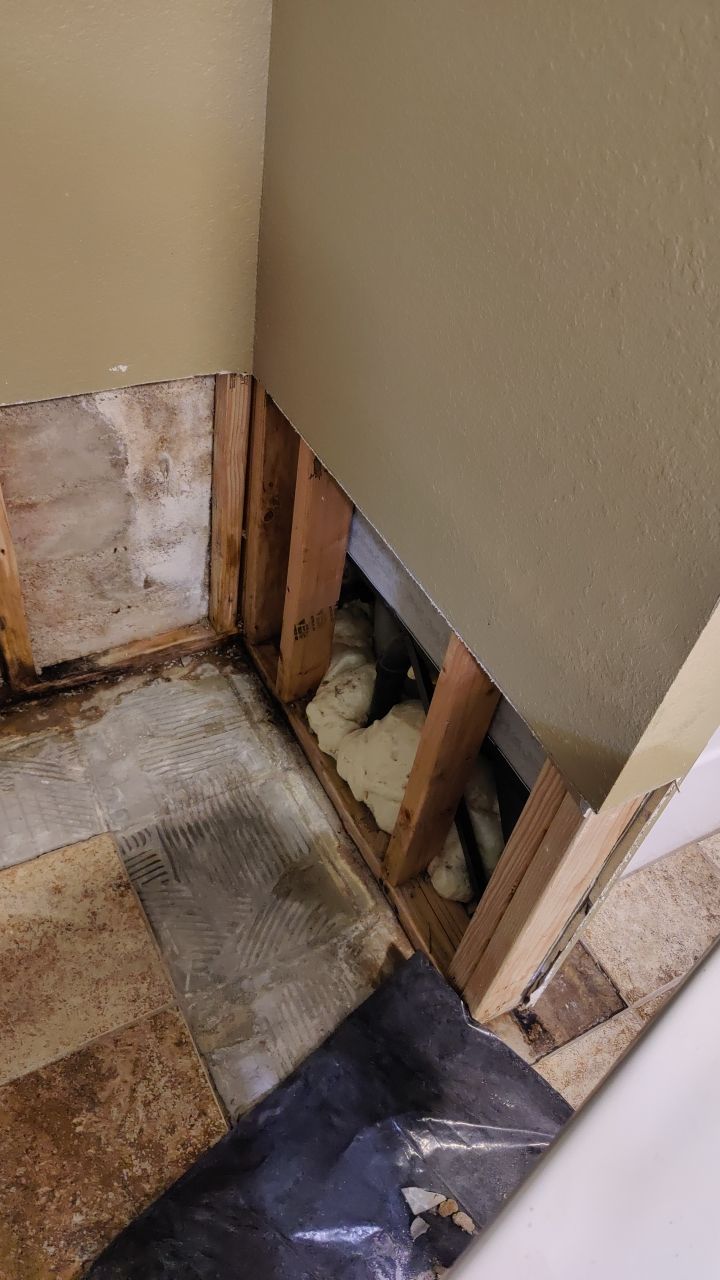 Water Damage and Mold Remediation by Accountable Home Services