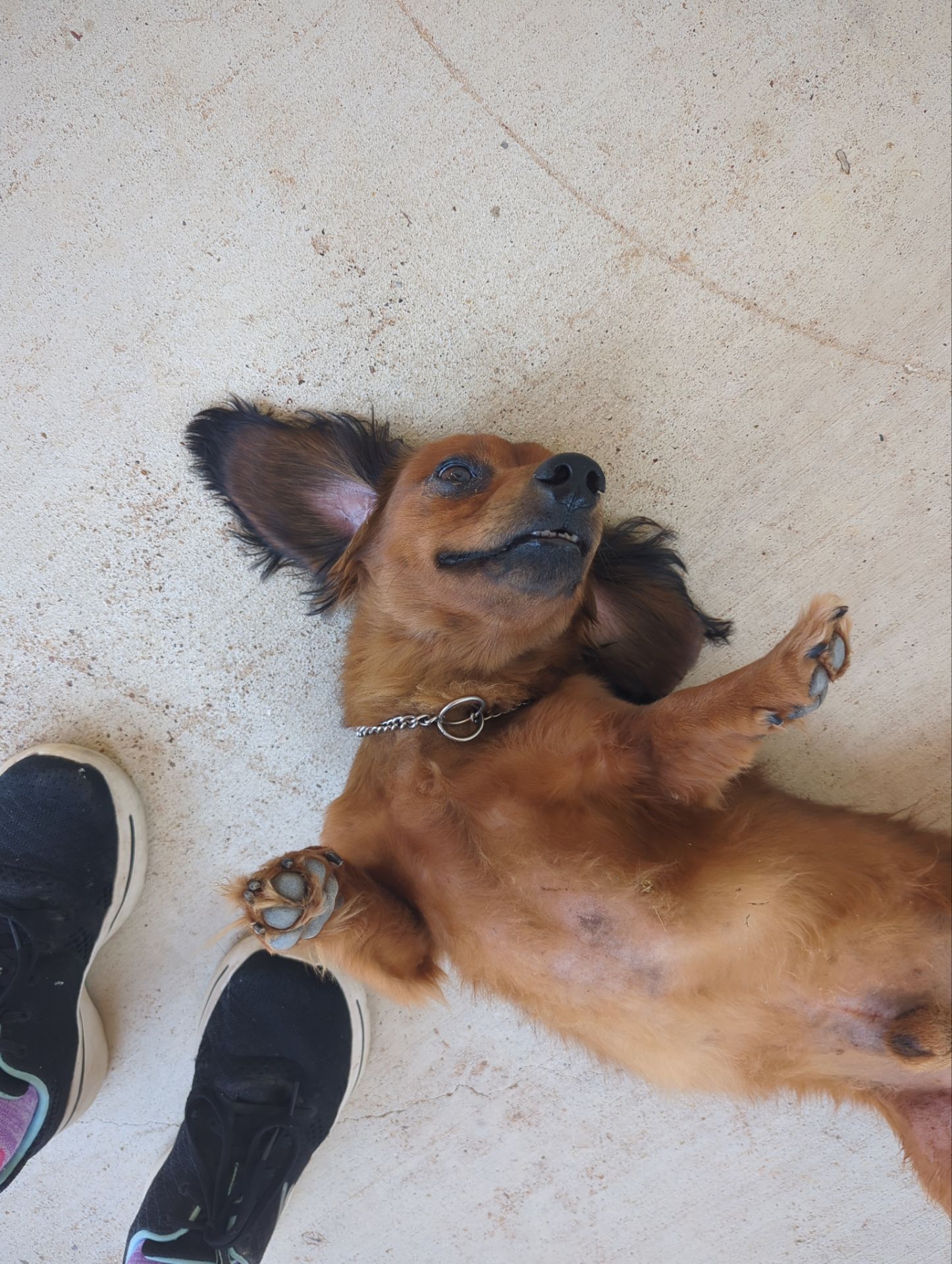 Romabio Limewash Project – Chandler, Tx by Quality Coats Painting