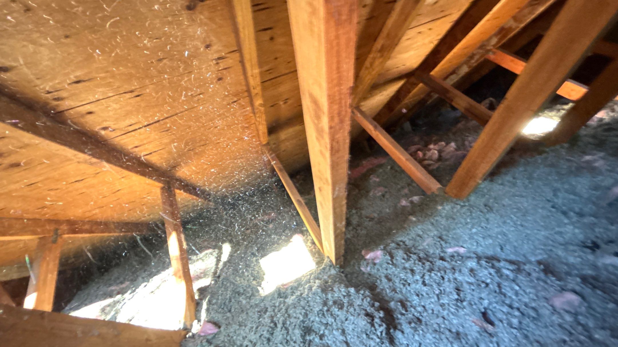 Roof Replacement using Owens Corning Brownwood by 180 Contractors