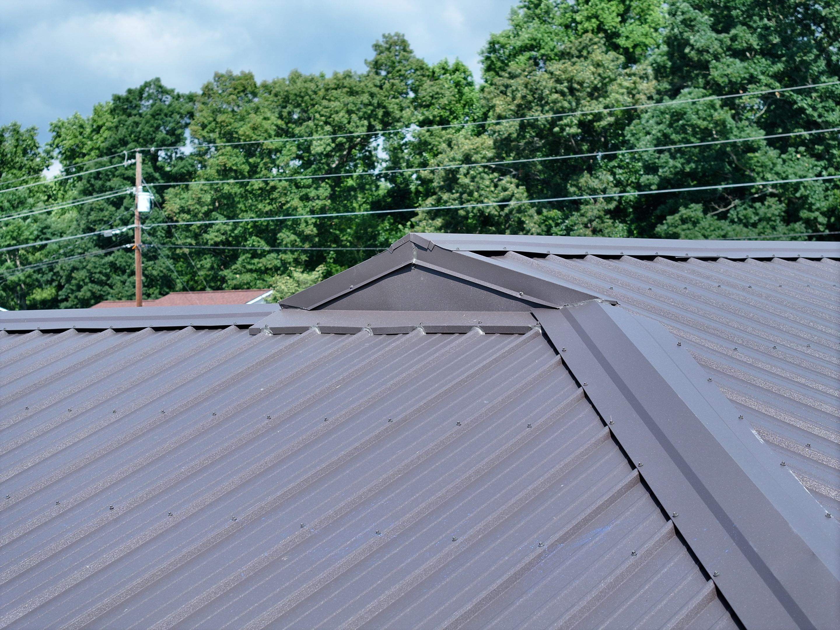 Maximoff Residence by Omnia Roofing