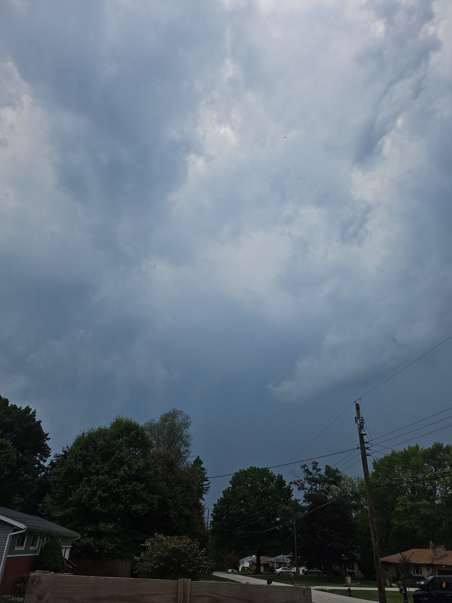 Tree Removal using Tree Removal by Mike Jones & Sons Tree Service LLC 