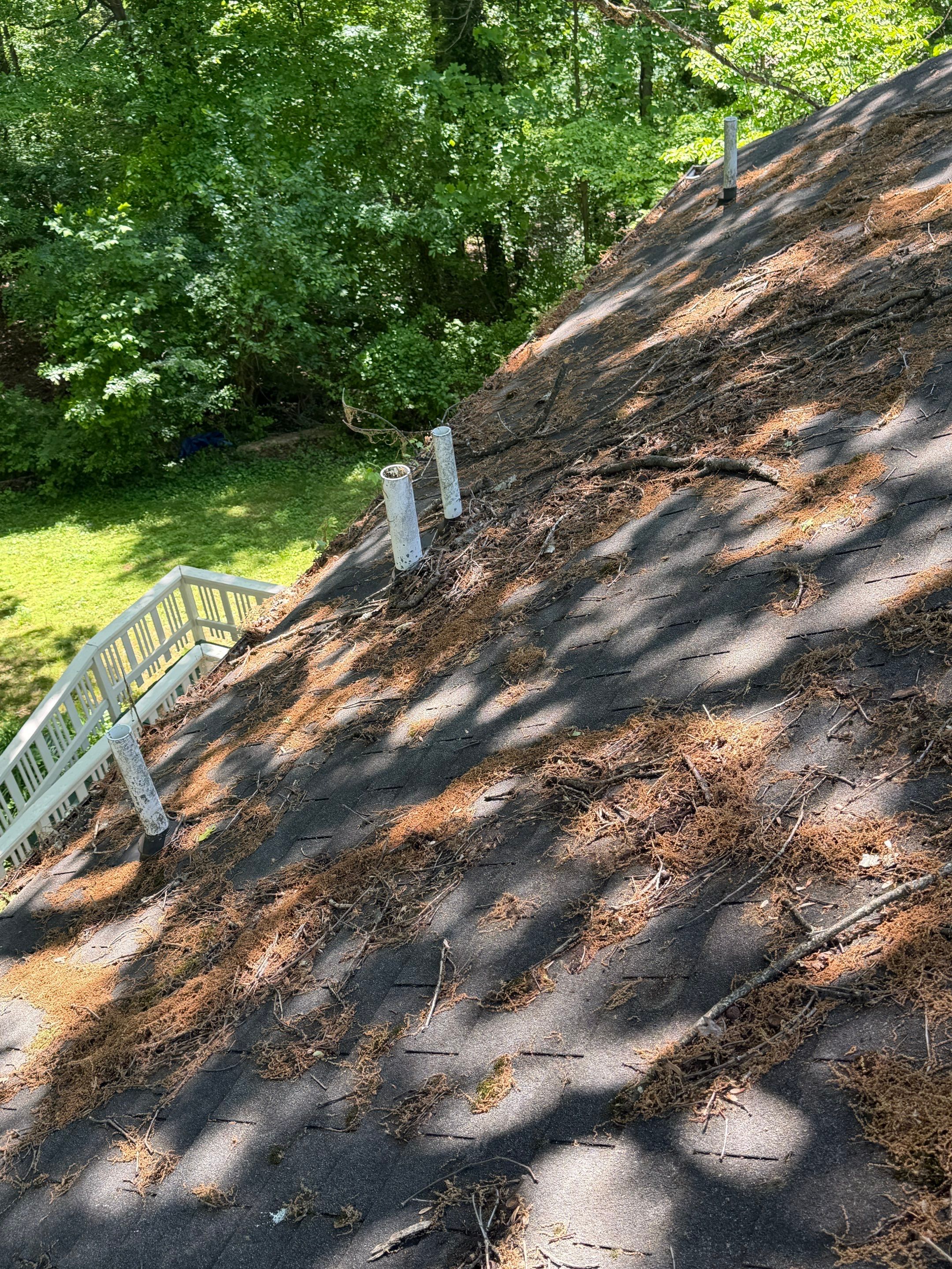 Comprehensive Architectural Shingle Roof Replacement and Skylight Installation in Laurel by First Chesapeake Roofing