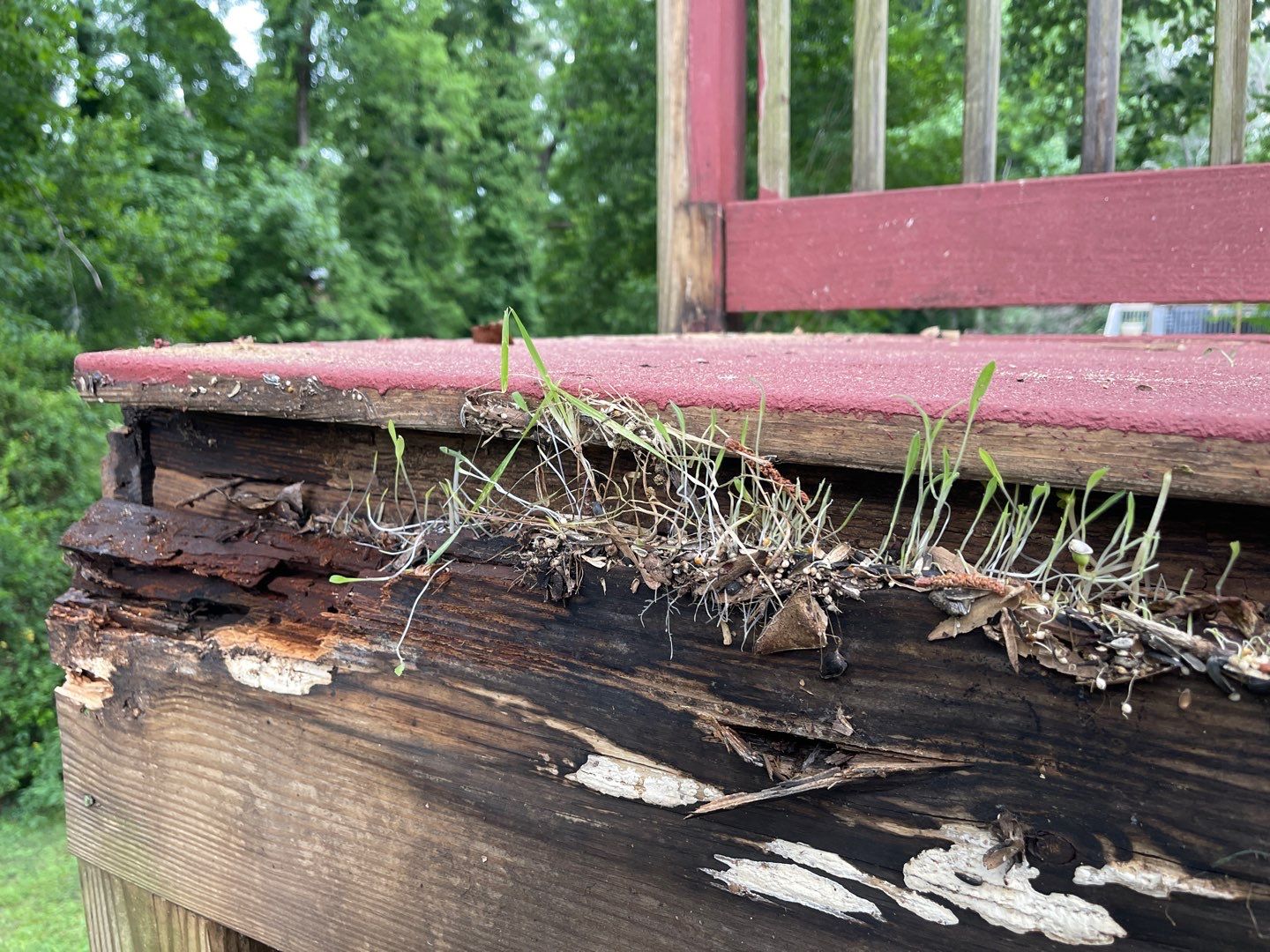 Forest Brook - Staircase by Pillar and Pine