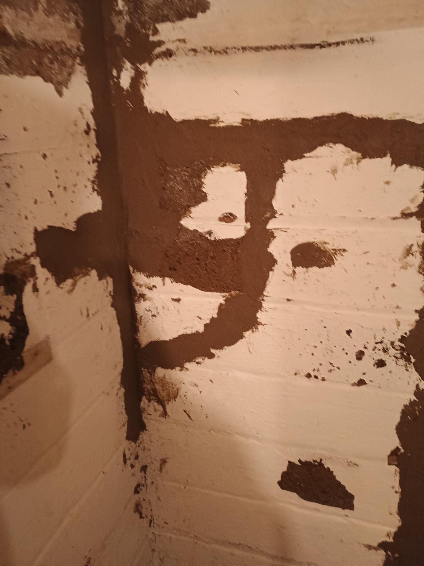 Updating Taylor's Waterproofing System by Waterproofing Northeast