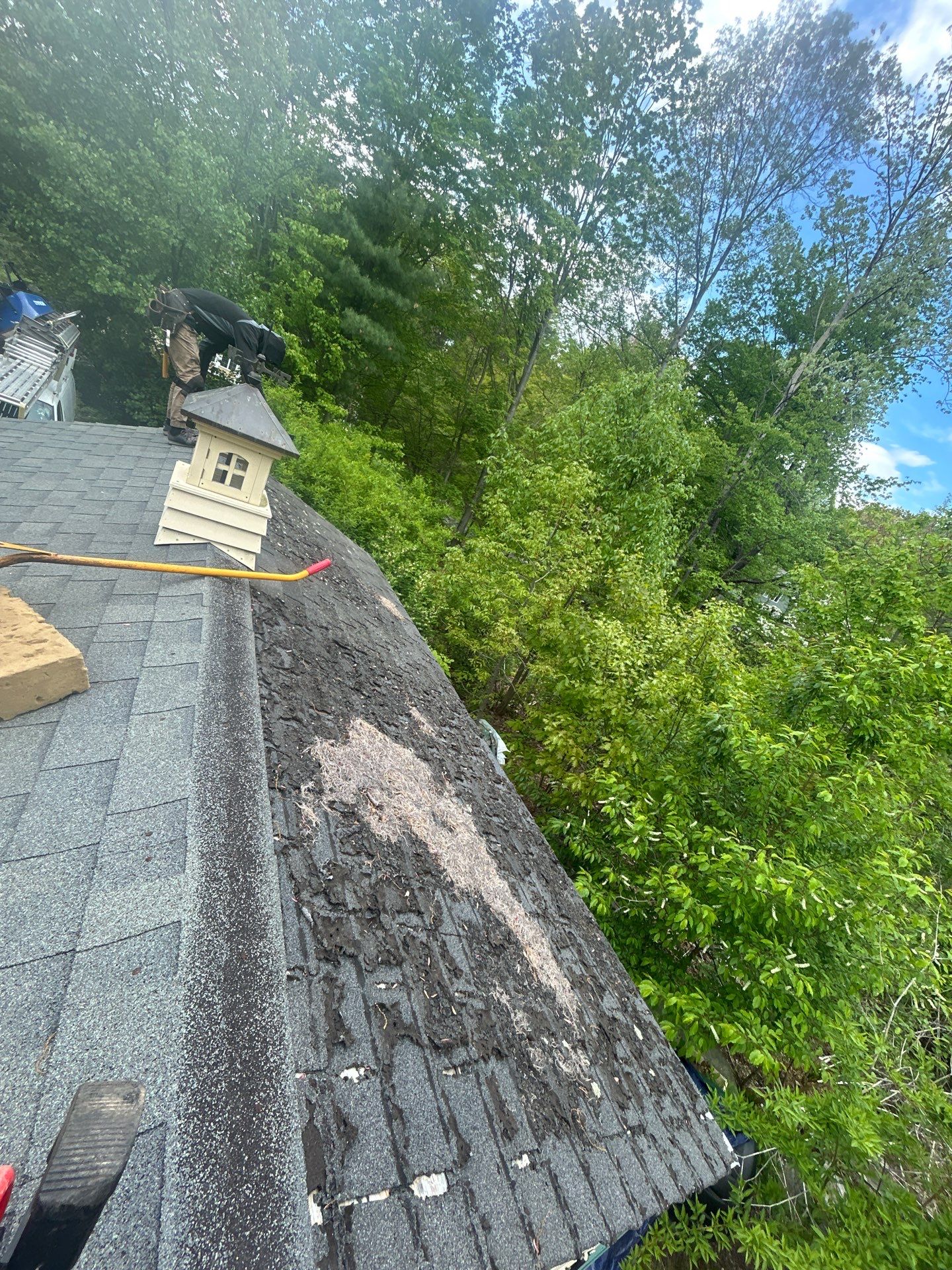 Roofing | Northborough by Mighty Dog Roofing of Greater Middlesex County
