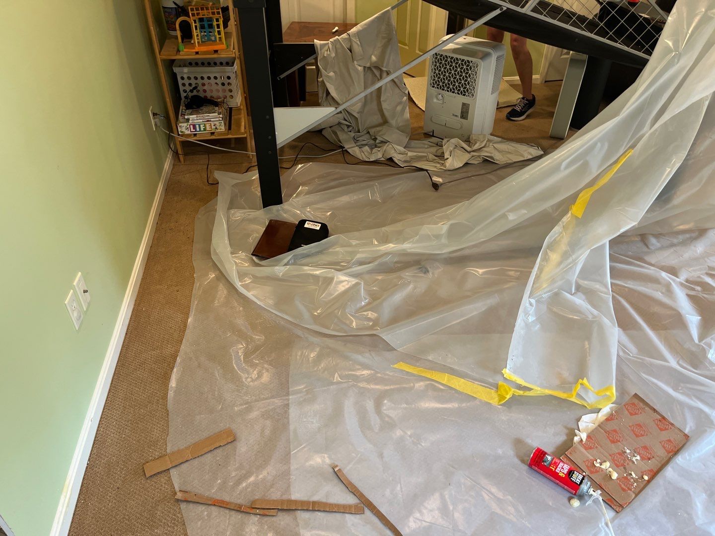 Mold Remediation in Louisville, KY by ANR Restoration