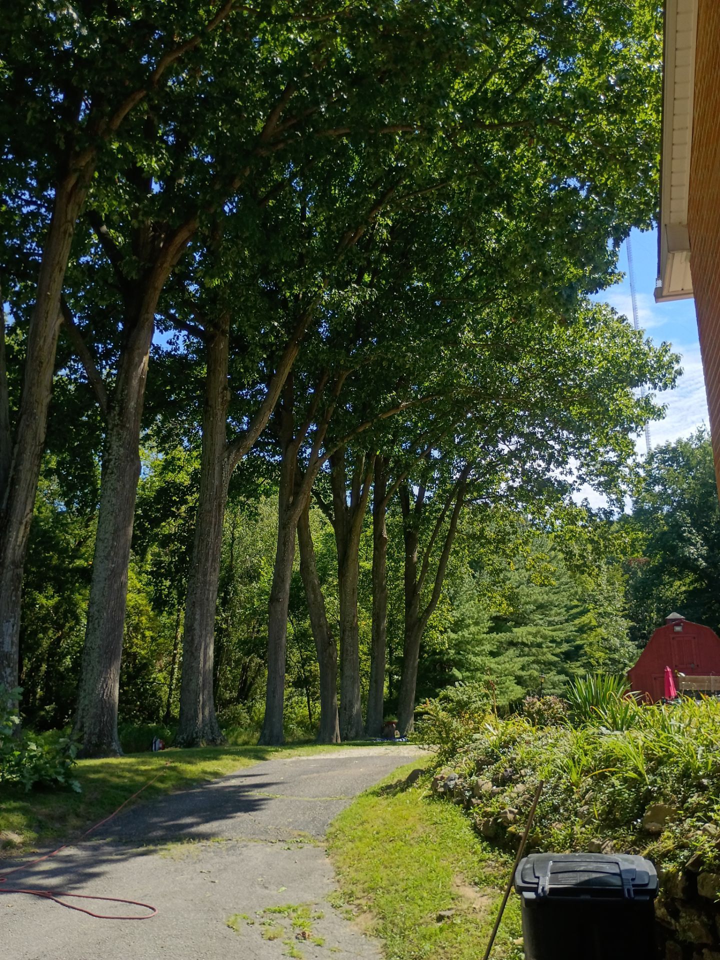 Tree Trimming & Tree Removal in Akron Ohio by Mike Jones & Sons Tree Service LLC 