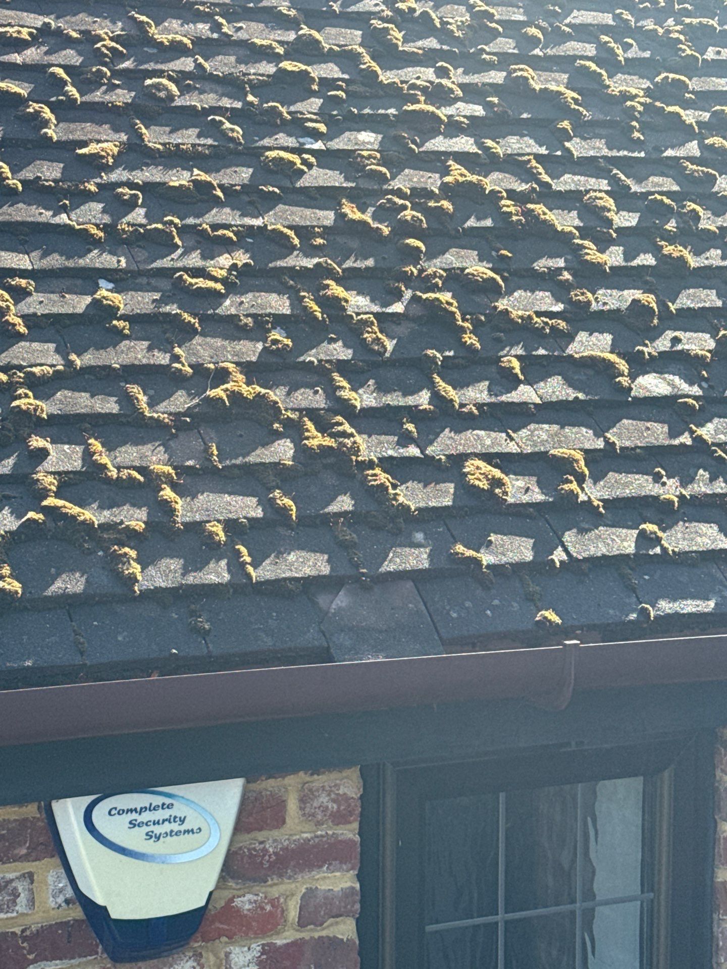 Roof Cleaning by Ges Exterior Cleaning ltd