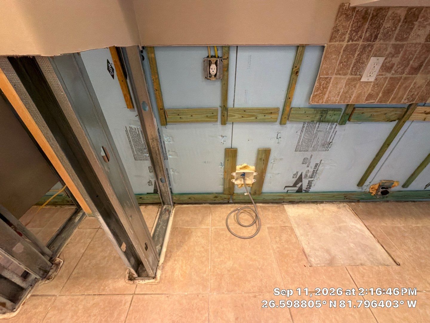 Fort Myers Water Damage Restoration and Professional Mold Remediation by Microscope