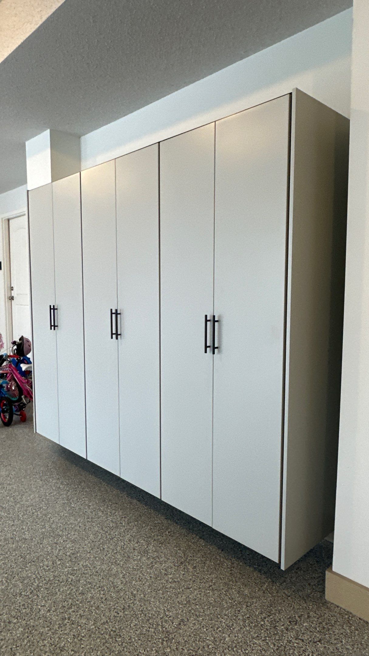 Carly U chose platinum powder coating for her cabinets by Banner Garage