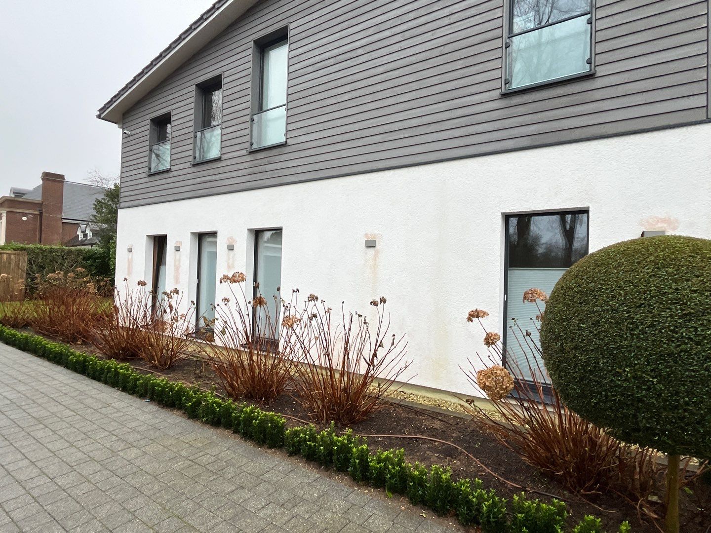 Render Clean using Pureseal Biocide - Solar Panel Clean by Ges Exterior Cleaning ltd