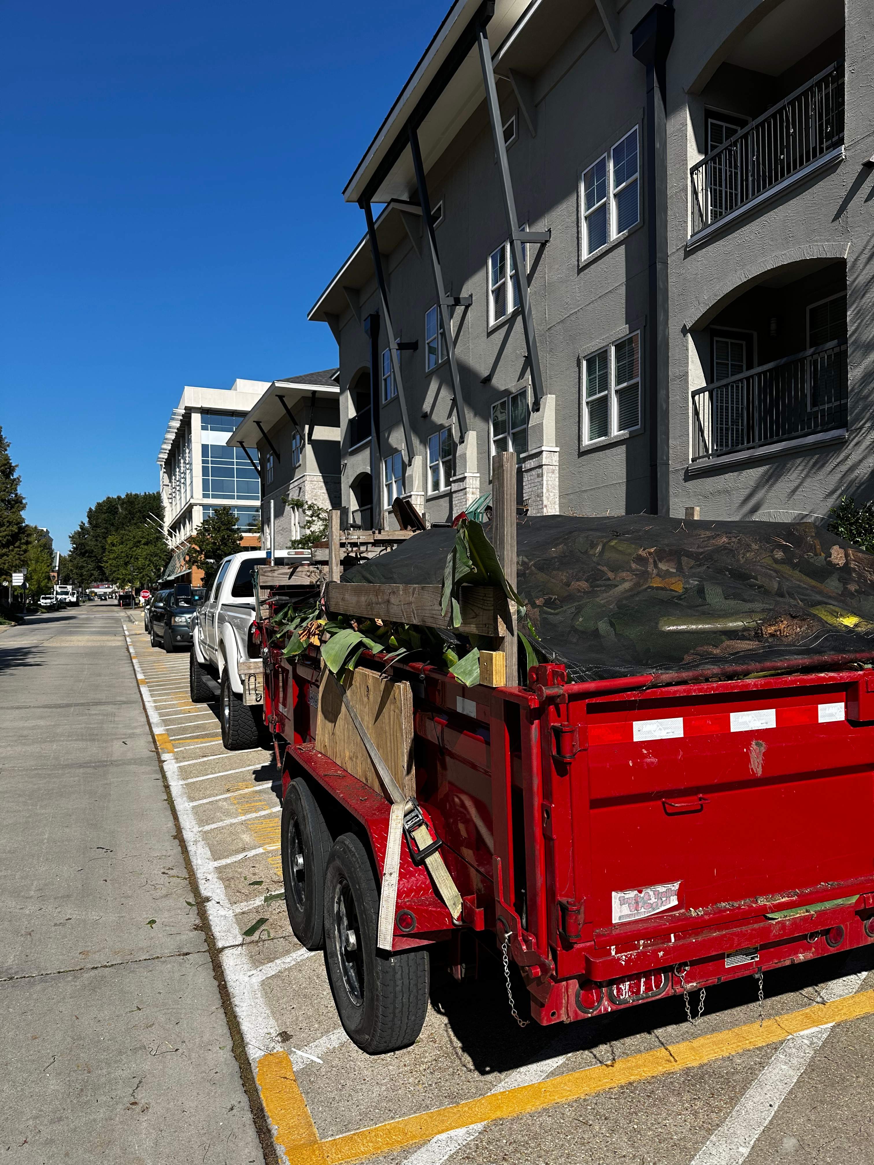 LANDSCAPE SERVICES: HEDGE TRIM / BED CLEAN by CutScape, LLC.