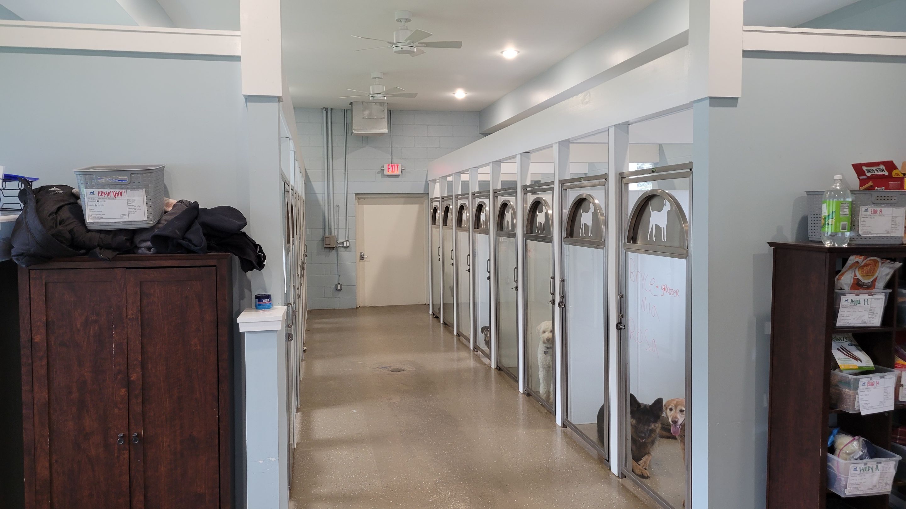 Kennel Floor Coating and Wall Painting using Penntek by Spectrum Painting, LLC