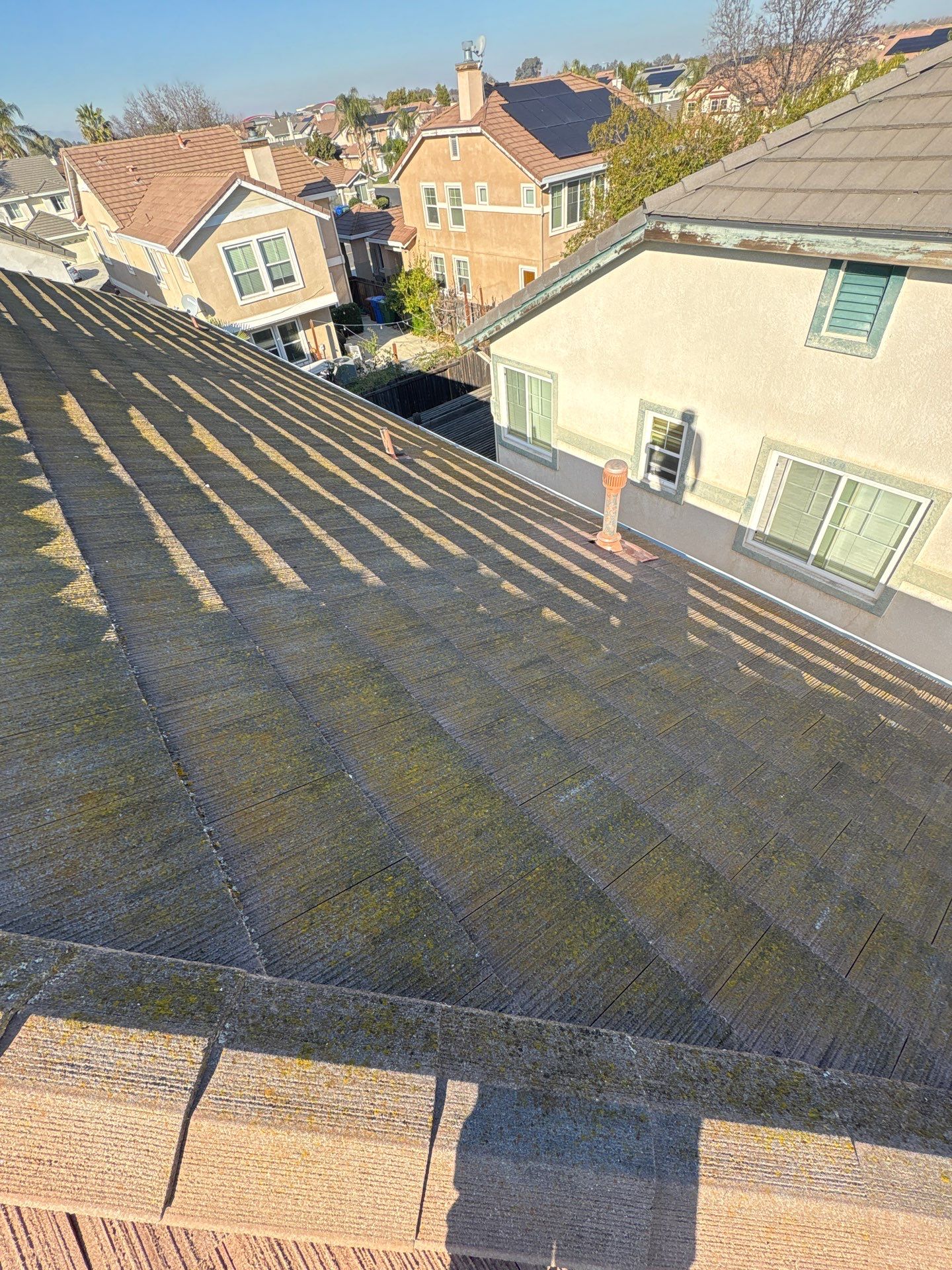 Moss Removal by Top Elevation